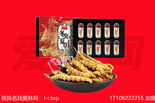 巴马县回收虫草.jpg